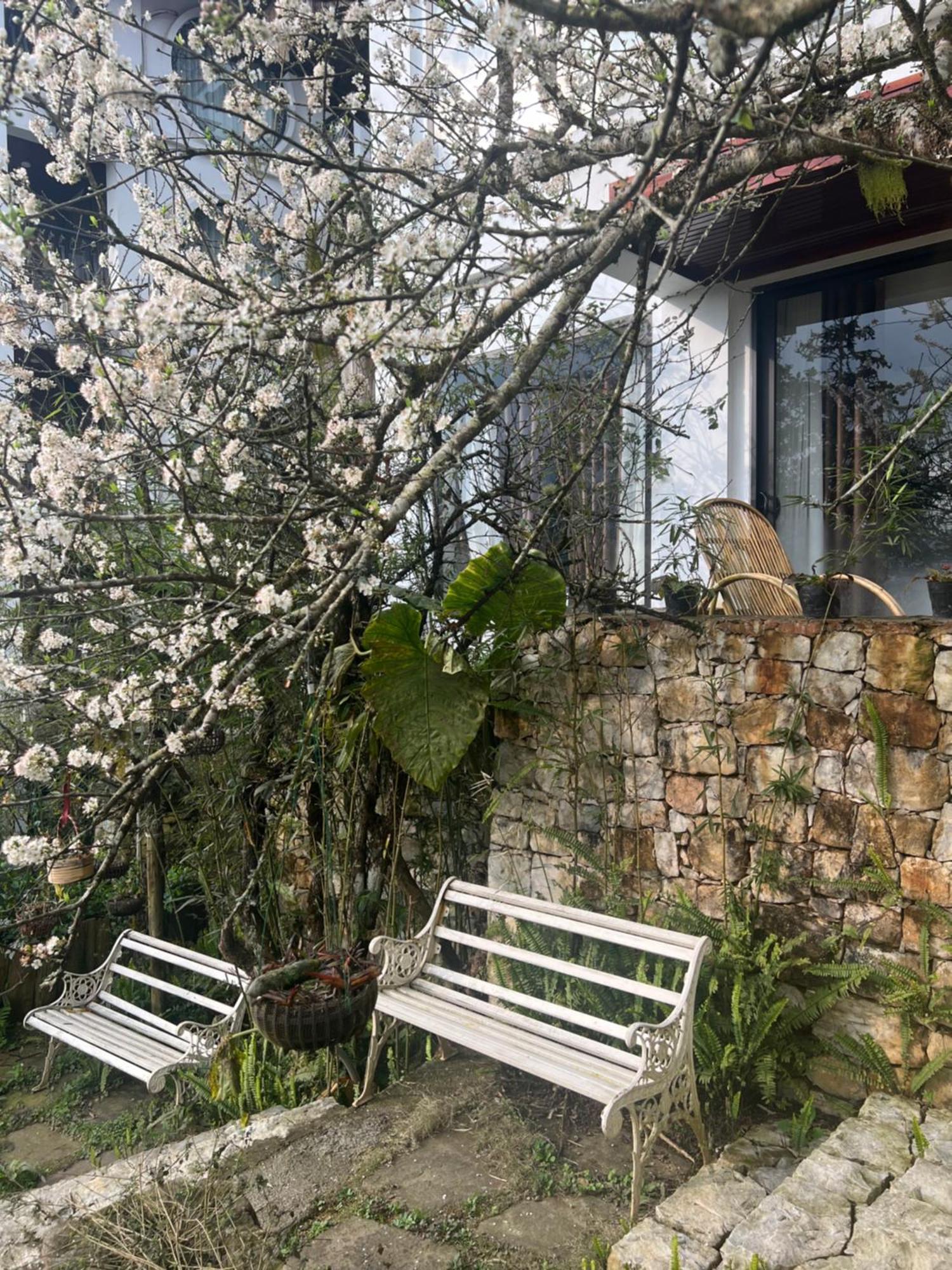 Green Villa Sapa Exterior photo