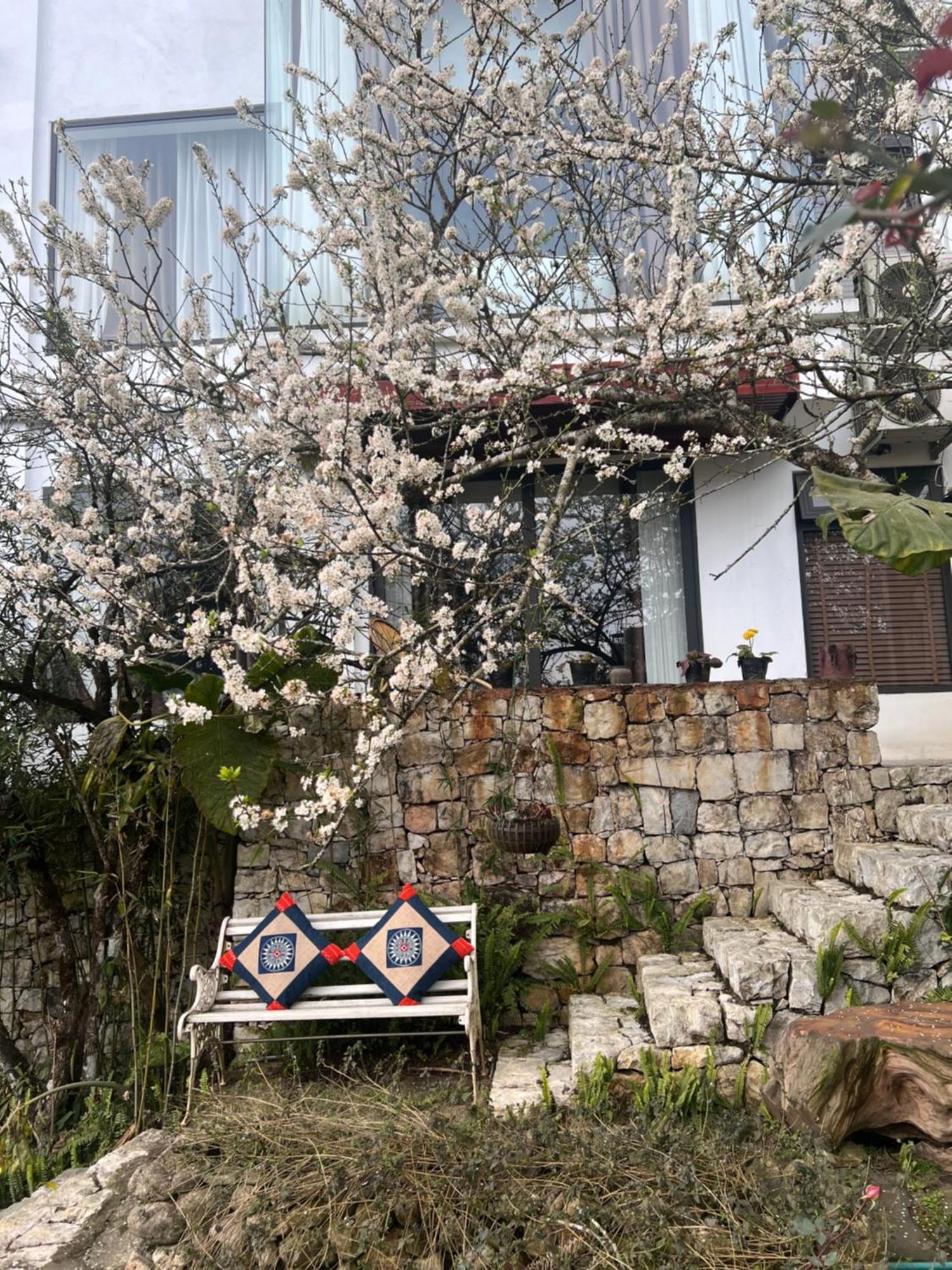Green Villa Sapa Exterior photo